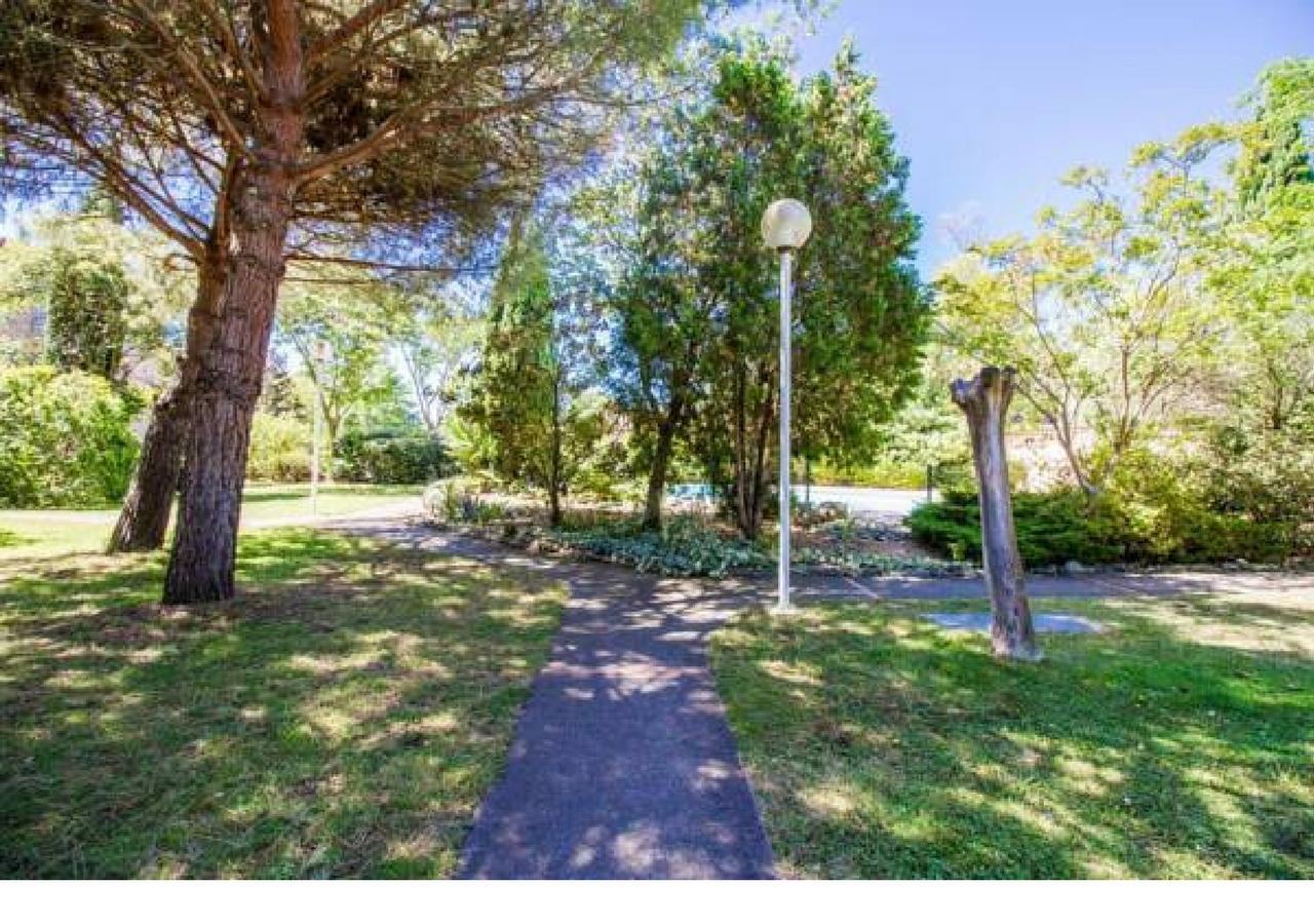Studio Premium Basso Cambo Meteo France Apartment *
